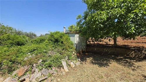 Terreno Agricolo e Ciliegeto a Castellana Grotte